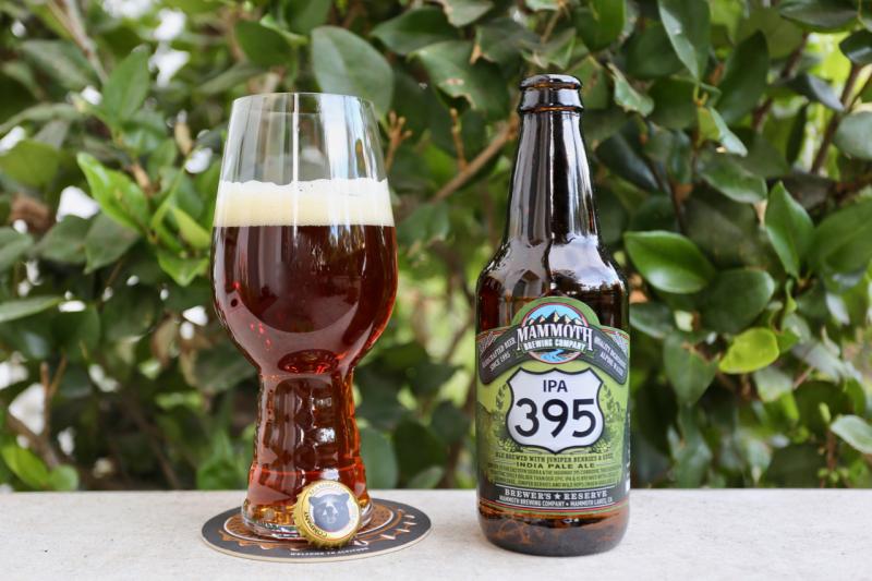 IPA 395