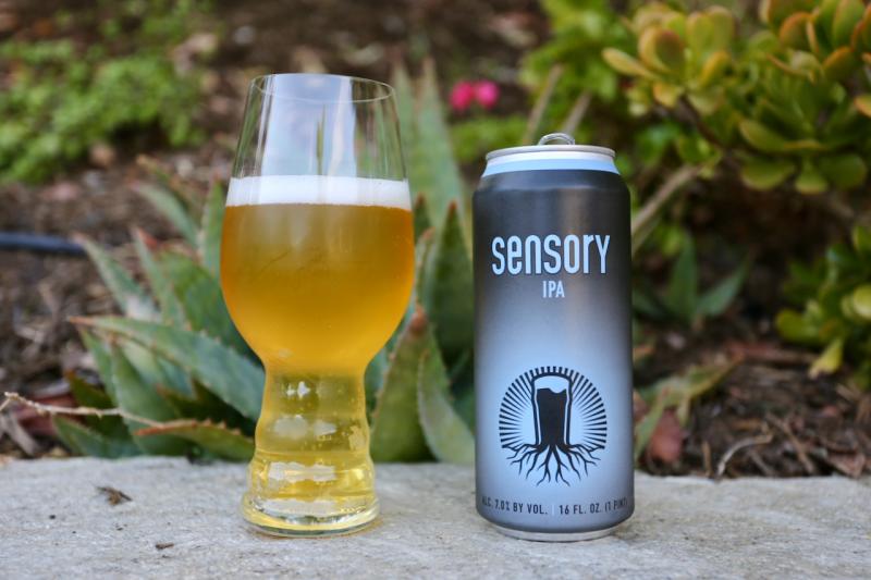 Sensory IPA